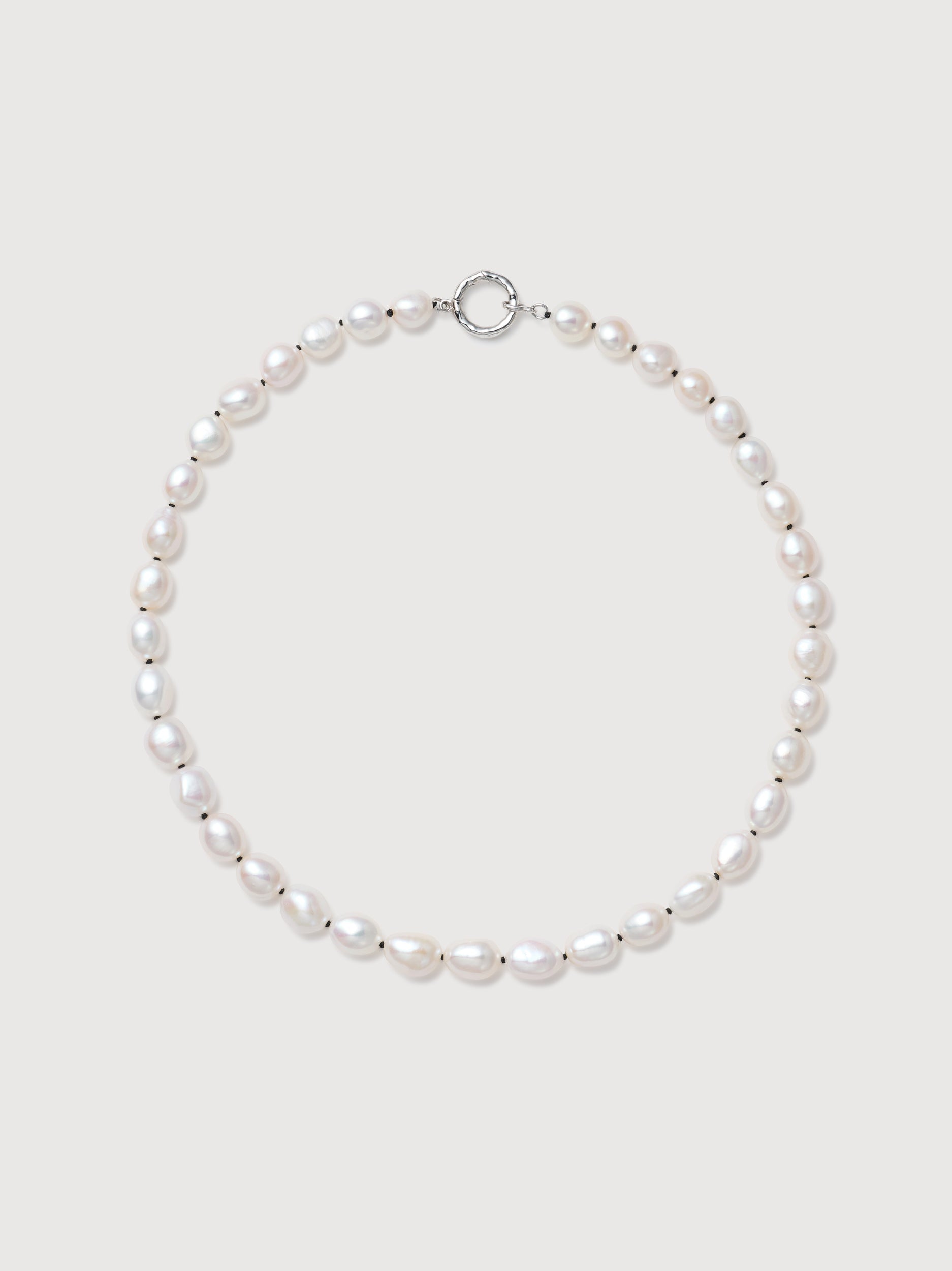スライド画像